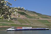 Rhein mit Niederwalddenkmal